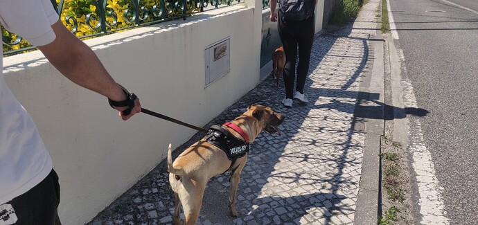IMG_20190502_154903