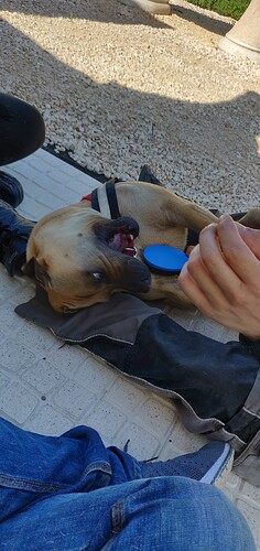 IMG_20190510_171808